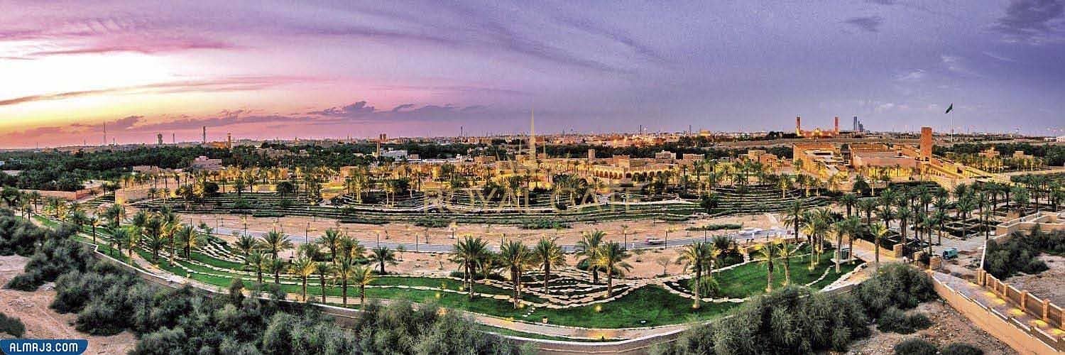 9 صور-عن-الرياض-الخضراء-مميزة-بجودة-عالية-2. jpg