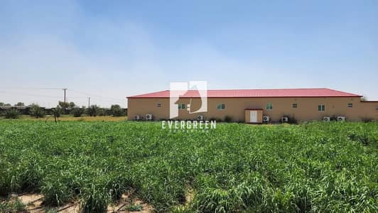 Mixed Use Land for Sale in Al Khaznah, Al Ain - 04c24950-838d-4f7f-bddb-c3e2ff1571f2. jpg