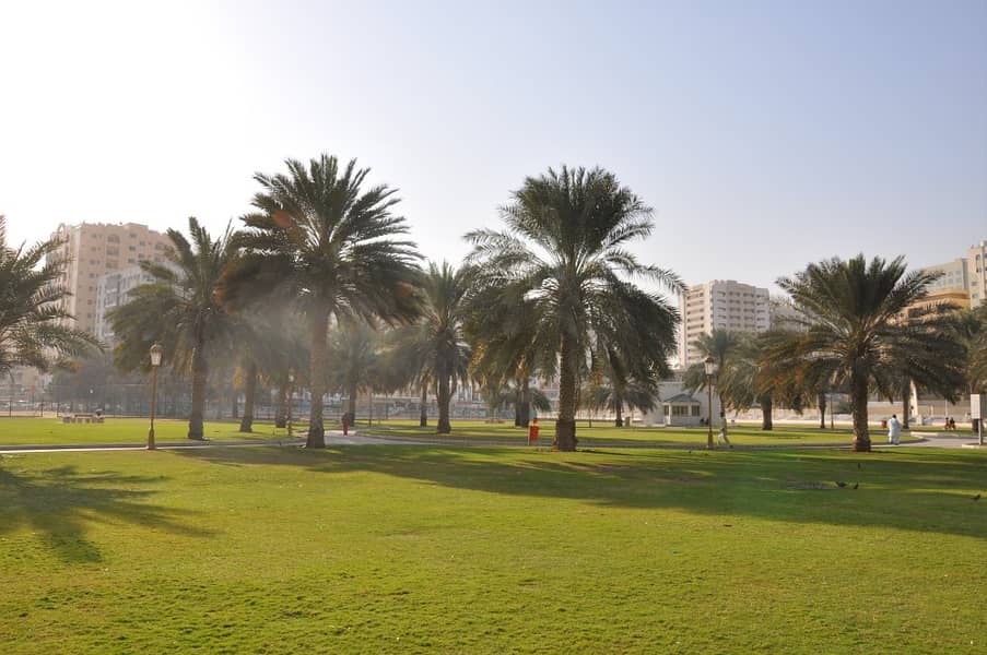 4 iR48ei_1537924241_HGGGG - Copy. jpg