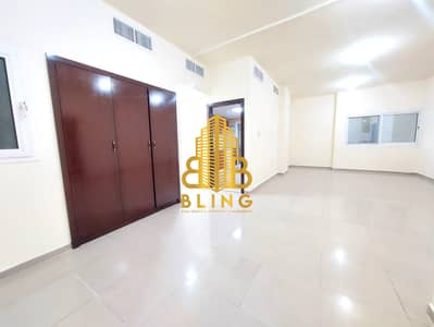 3 Bedroom Flat for Rent in Al Falah Street, Abu Dhabi - WhatsApp Image 2025-04-07 at 10.25. 18 AM (1). jpeg