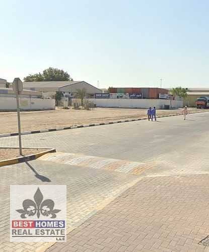 5 WhatsApp Image 2025-03-16 at 12.21. 11 (6). jpeg