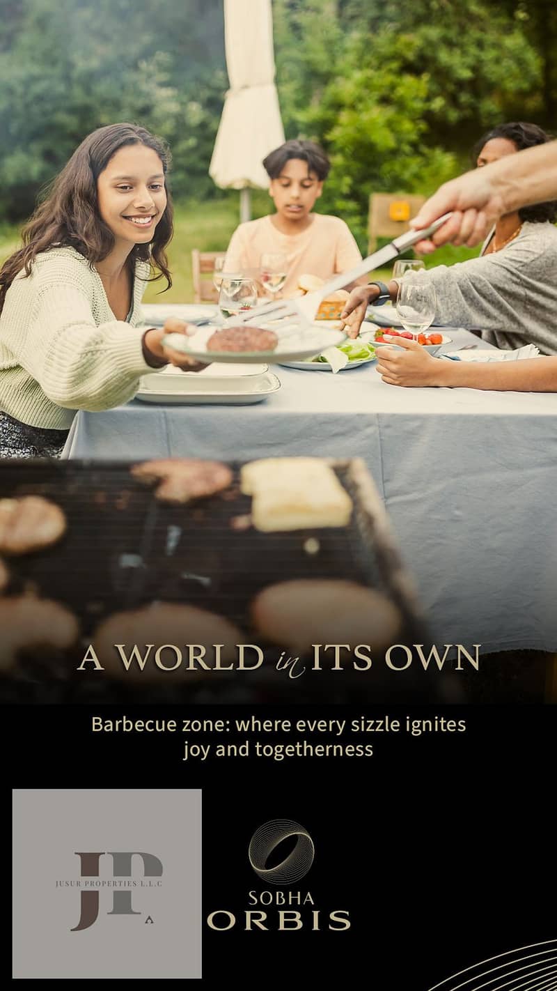 6 BBQ Zone. jpg