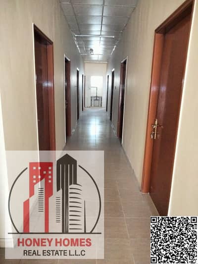 艾尔朱尔夫， 阿治曼 员工宿舍待租 - WhatsApp Image 2025-04-07 at 19.20. 26. jpeg