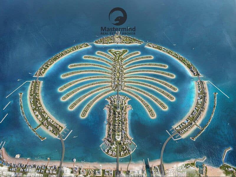 3 992_1731483362. jpg