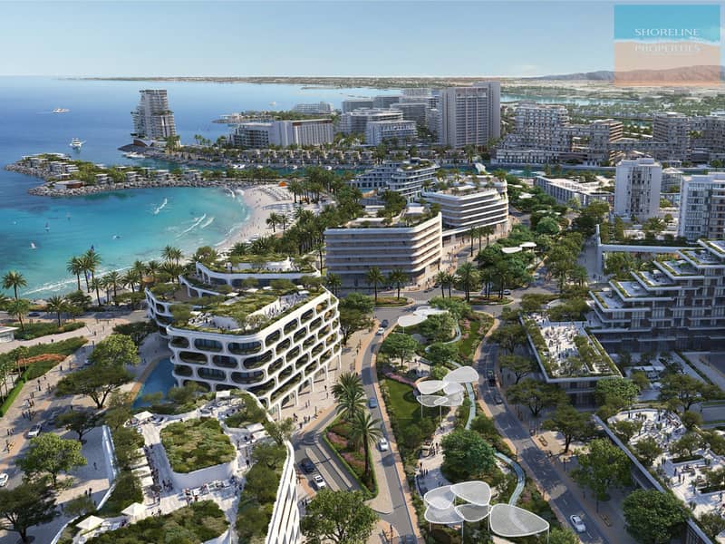 9 MIRASOL (5). jpg