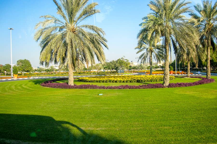 City View | Furnished | Flexible Terms - Image 20