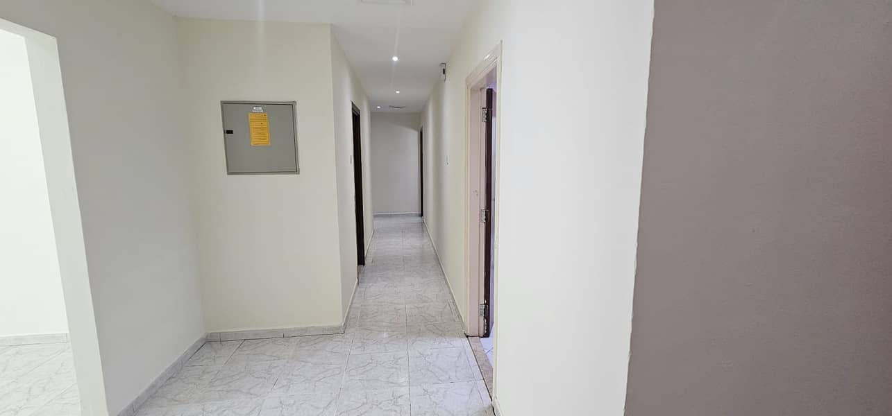 7 3a17d996-ad9a-4312-ad51-9d5c538ab4de. jpg