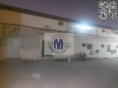 阿治曼工业园区， 阿治曼 员工宿舍待租 - 1. jpg