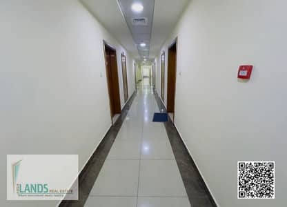 拉希迪亚， 阿治曼 2 卧室公寓待租 - WhatsApp Image 2025-04-12 at 3.36. 49 PM (1). jpeg