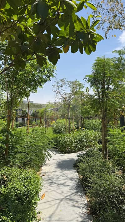 4 Bedroom Townhouse for Sale in Tilal City, Sharjah - WhatsApp Image 2025-04-12 at 6.23. 39 PM (1). jpeg