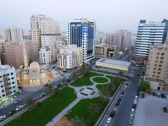 9 صورة واتساب بتاريخ 2025-04-13 في 12.46. 29_dd08a8df. jpg