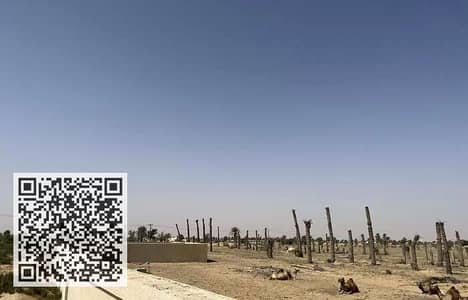 Mixed Use Land for Sale in Al Madam, Sharjah - 3e3a90fa-deb3-4344-ae74-7026675d3a8a. jpg