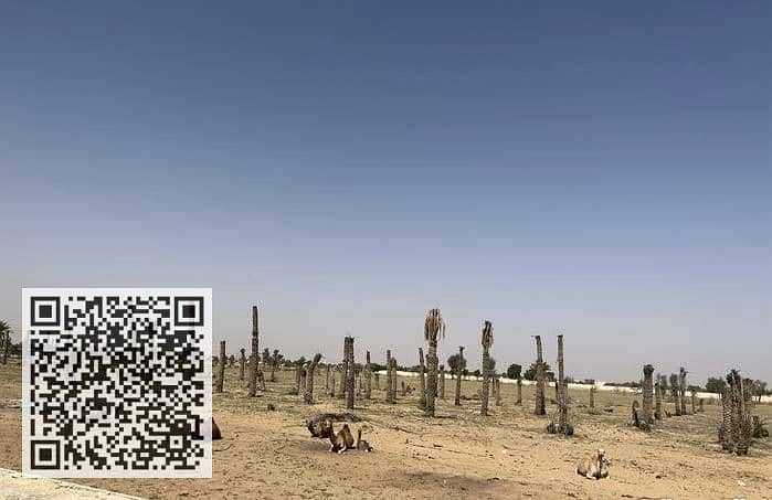 2 7bd40b2a-7d46-43bc-aef0-a996c57dafb6. jpg