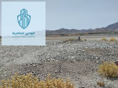 Plot for Sale in Masfout, Ajman - WhatsApp Image 2025-04-17 at 10.58. 23_d361a2f9. jpg