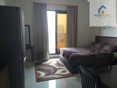 Beautiful Fully Furnished Studio for Rent in Elite 10 Beautiful Fully Furnished Studio for Rent in Elite 10