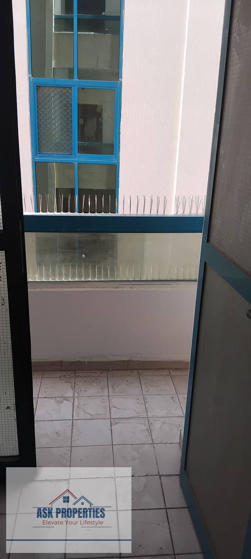 7 1000160072. jpg