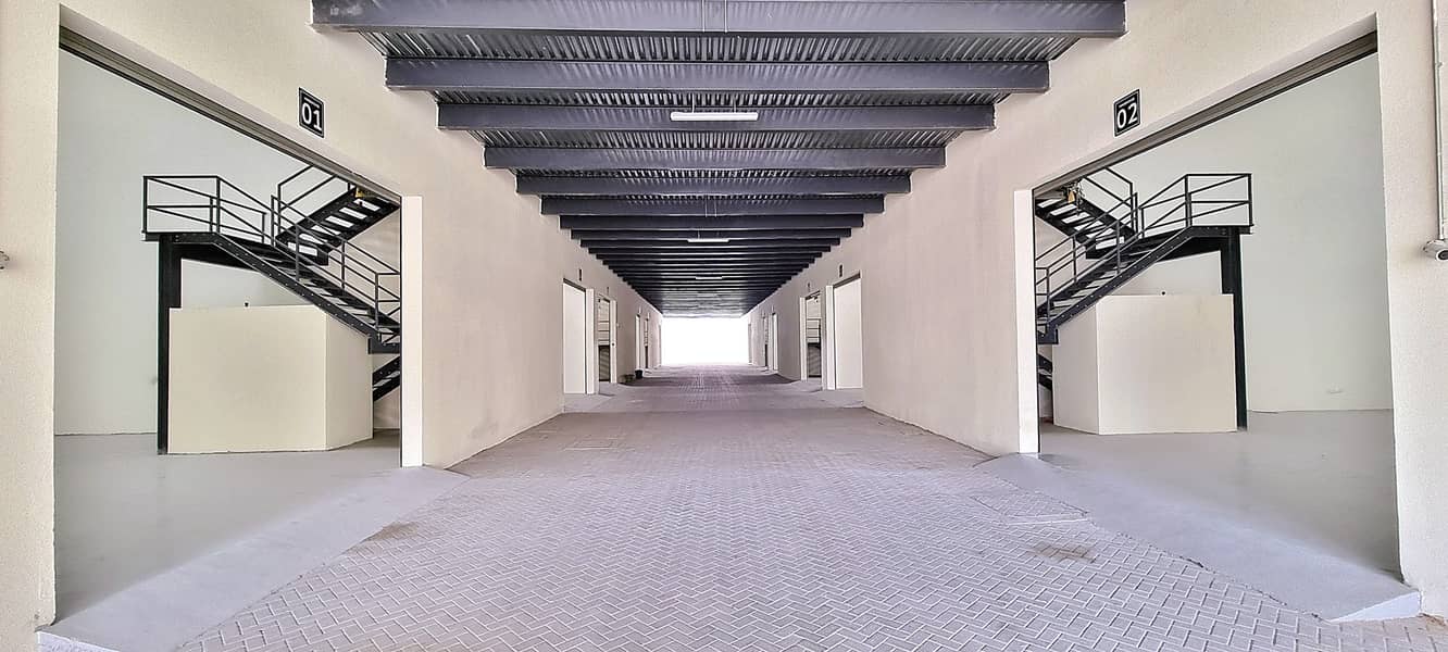 6 20250225_115236. jpg