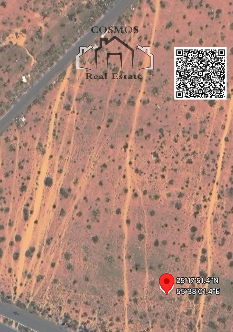 3 WhatsApp Image 2025-03-16 at 1.07. 47 AM. jpeg