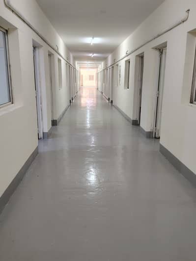 Labour Camp for Rent in Mussafah, Abu Dhabi - 254e93ef-eedd-42e1-bb71-aba22d2d5171. jpg