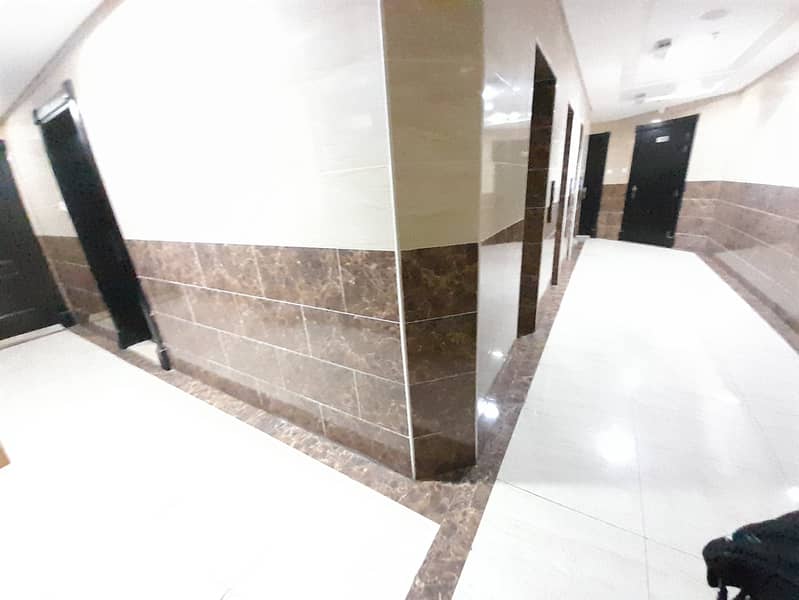 3 20250416_114332. jpg