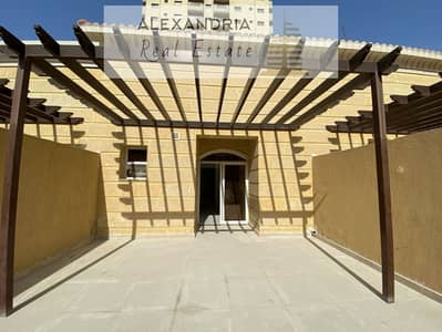 3 Bedroom Villa for Rent in Jumeirah Village Circle (JVC), Dubai - صورة واتساب بتاريخ 1446-10-23 في 16.05. 51_43910c07. jpg