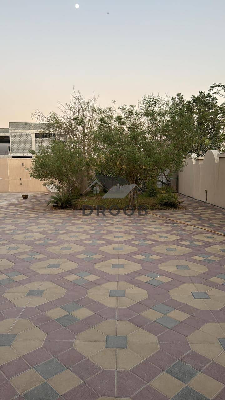 9 Photo 9. jpg