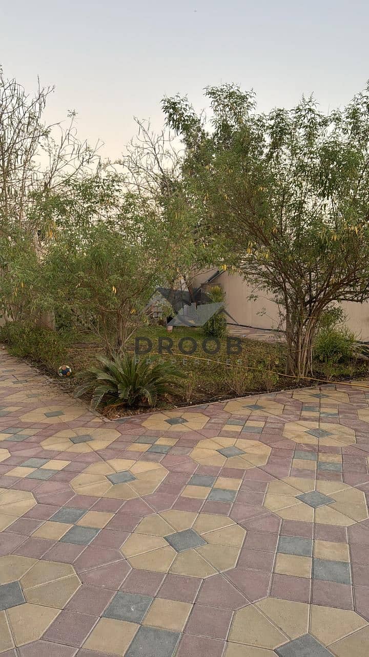 11 Photo 12. jpg