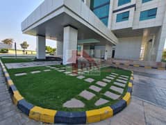 Amazing !!! 1 Bedroom Apartment For Rent In MARINA BLUE