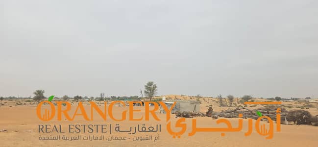 法拉吉-阿尔穆拉， 乌姆盖万 住宅地块待售 - WhatsApp Image 2025-03-19 at 00.44. 24_4d682428. jpg