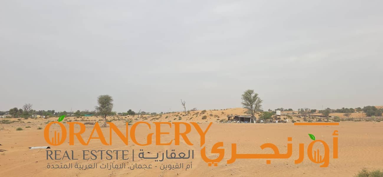3 WhatsApp Image 2025-03-19 at 00.44. 24_553ef886. jpg