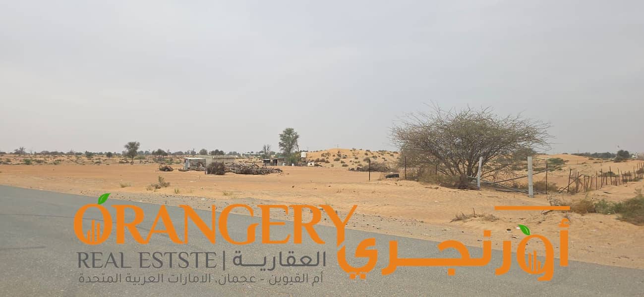 4 WhatsApp Image 2025-03-19 at 00.44. 25_f3d0f52e. jpg