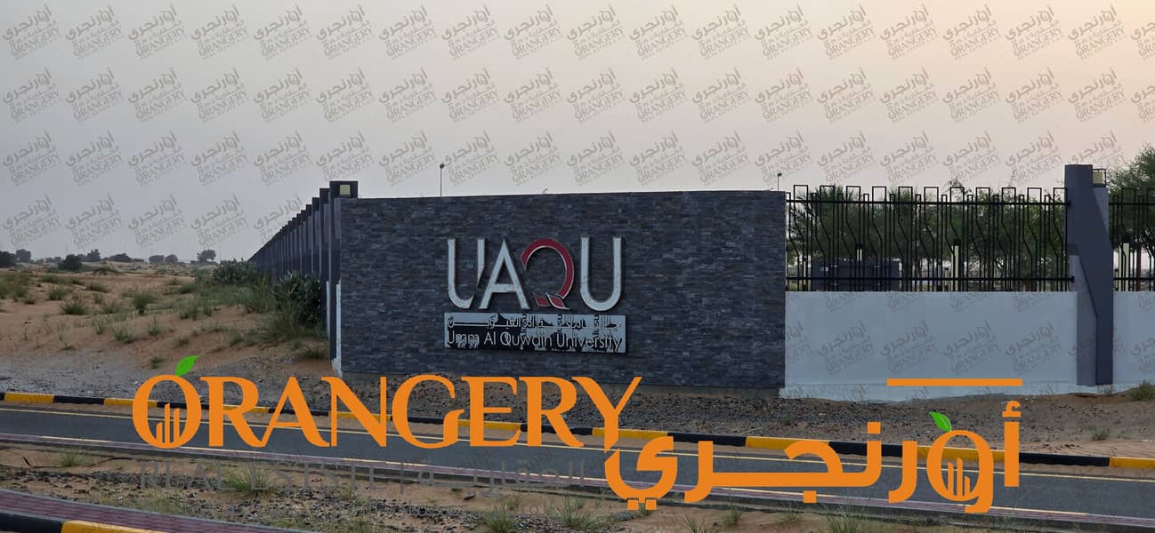 4 ORANGERY_FREEHOLD_46. png