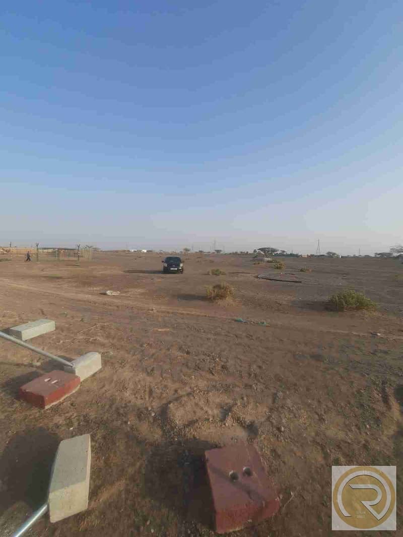 6 1000143970. jpg
