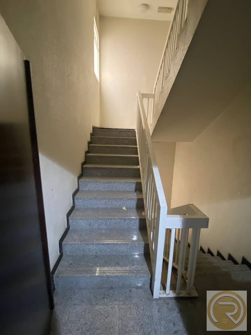 8 1000077245. jpg