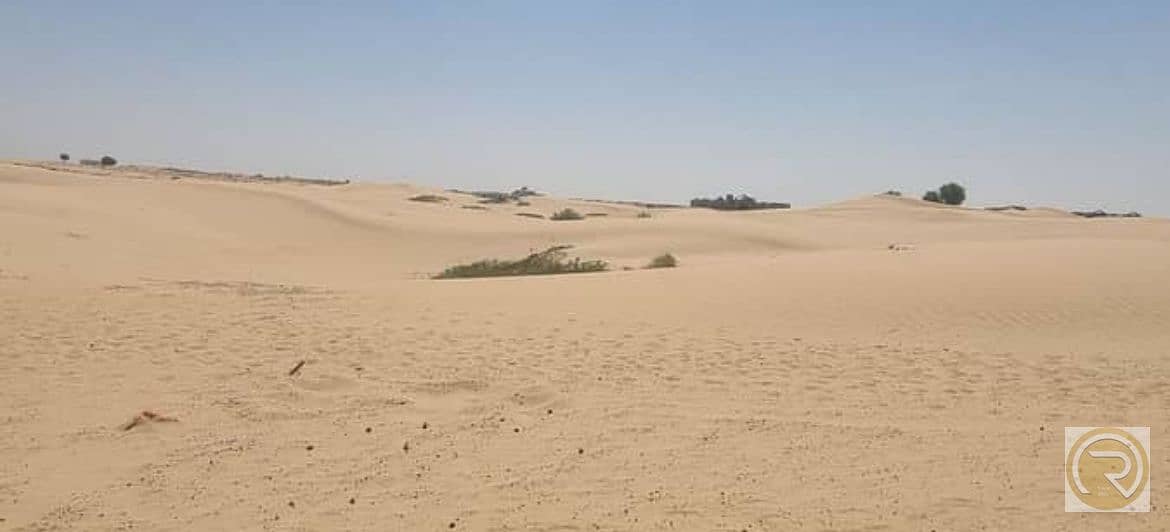 2 IMG_0047. jpeg