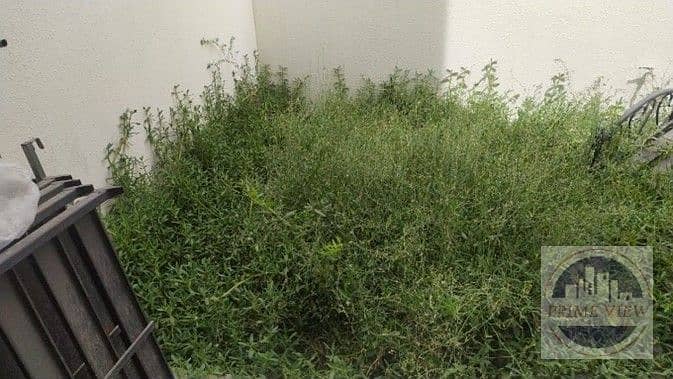 24 Picture7. jpg