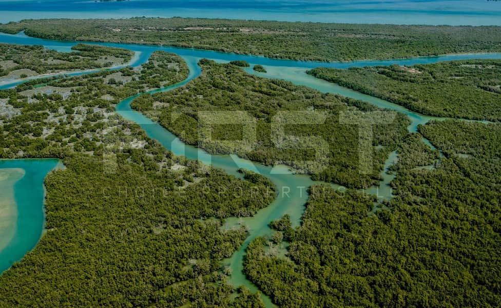 8 YSC_brochure_Page_08_Image_0001. jpg