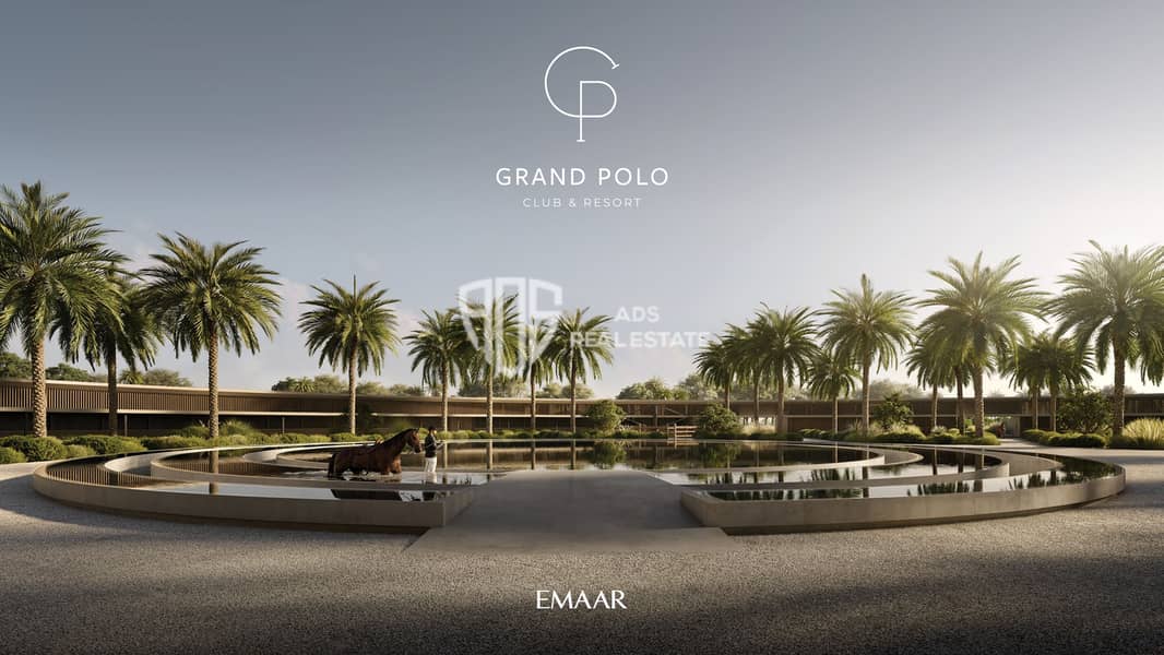 25 GRAND_POLO_IMAGE21. jpg