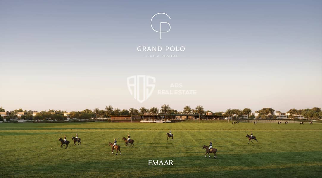 28 GRAND_POLO_IMAGE25. jpg