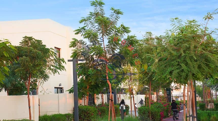 5 5. JPG