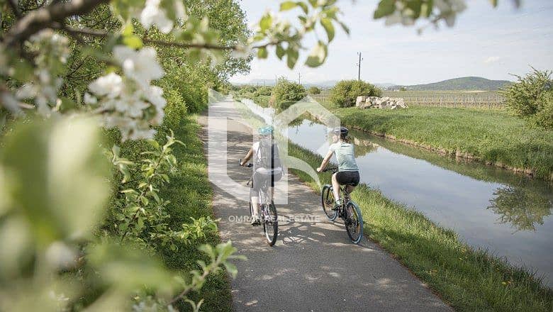 6 thermal-cycling-route-wiener-neustaedter-canal. jpg