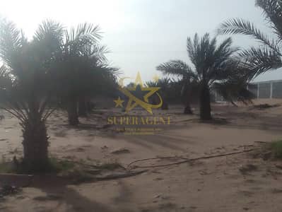 Plot for Sale in Al Ajban, Al Ain - 20. png
