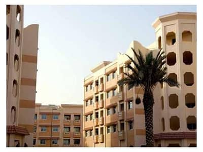 NEAT AND CLEAN 1BHK IN LOWEST RATE-CHINA CLUSTER-CALL NOW NEAT AND CLEAN 1BHK IN LOWEST RATE-CHINA CLUSTER-CALL NOW