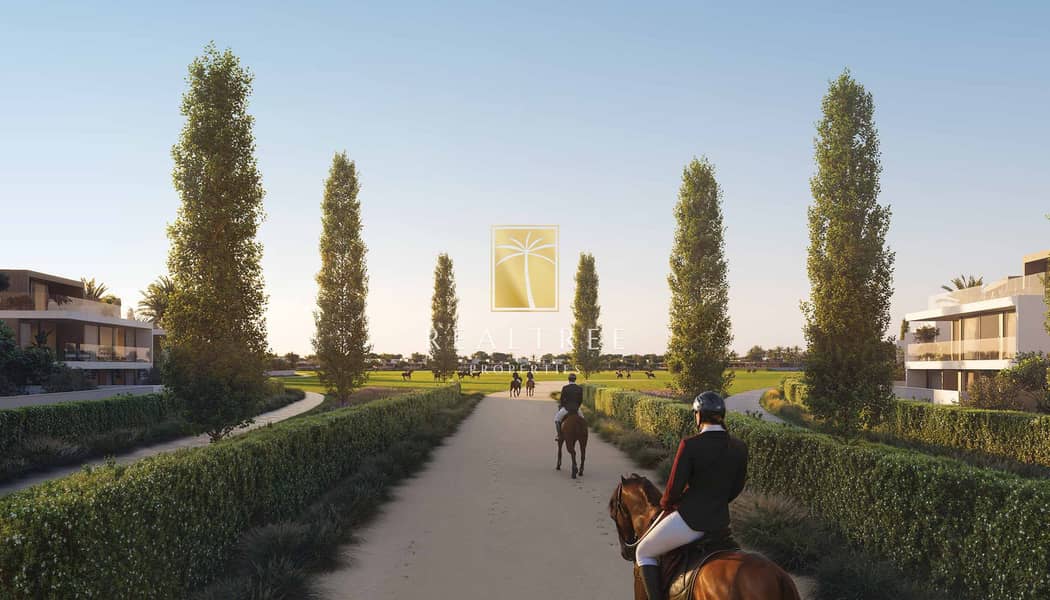 13 grand_polo_image23. jpg