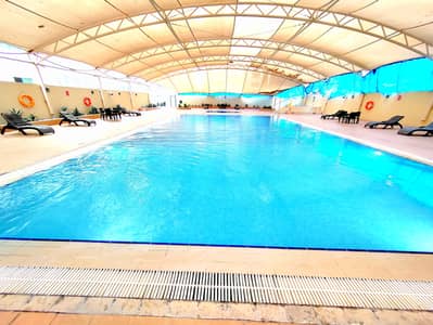 阿尔那哈达（夏尔迦）， 夏尔迦 2 卧室公寓待租 - IMG-20250425-WA0101. jpg