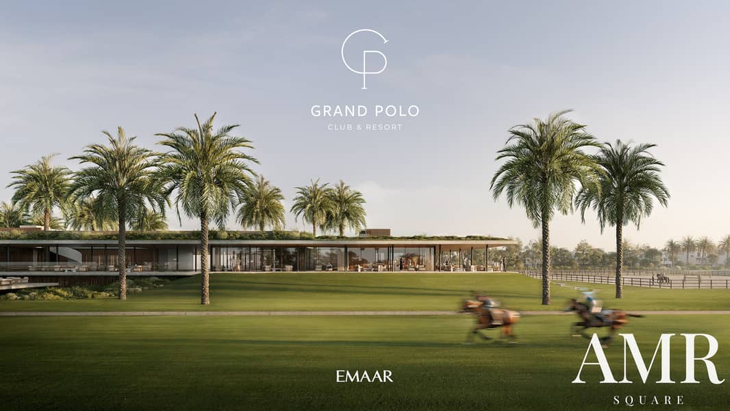 2 GRAND_POLO_IMAGE2. jpg