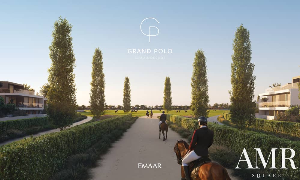6 GRAND_POLO_IMAGE23. jpg