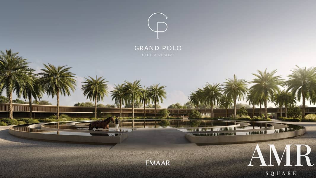 10 GRAND_POLO_IMAGE21. jpg