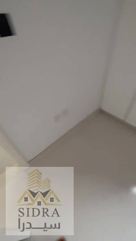 6 IMG295449. jpg