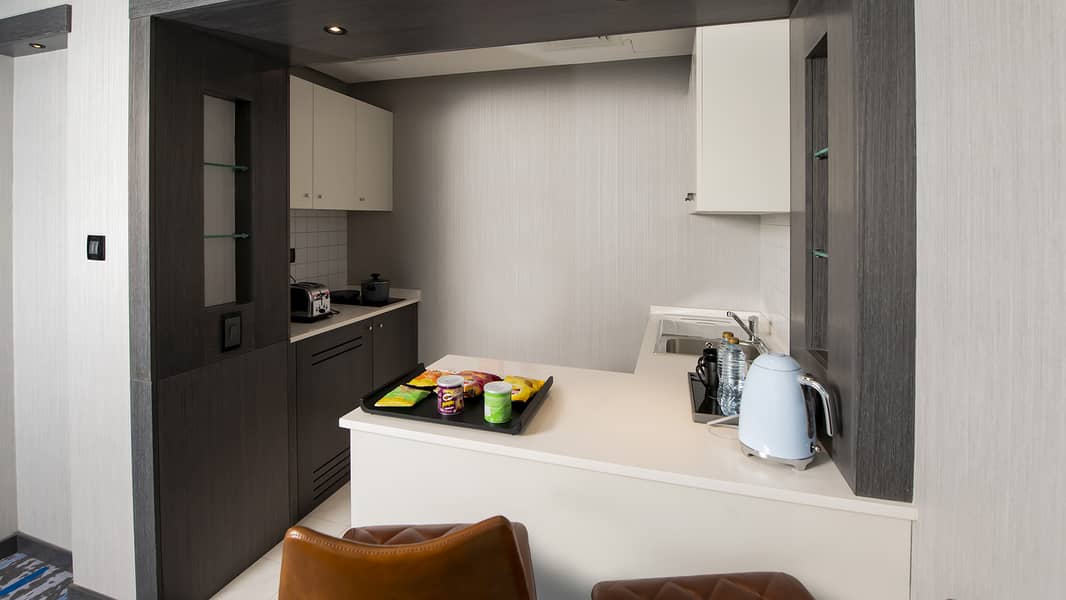 4 1 BR Apartment (4). jpg